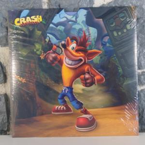 Crash Bandicoot N. Sane Trilogy - Pack Fan exclusif Fnac (10)